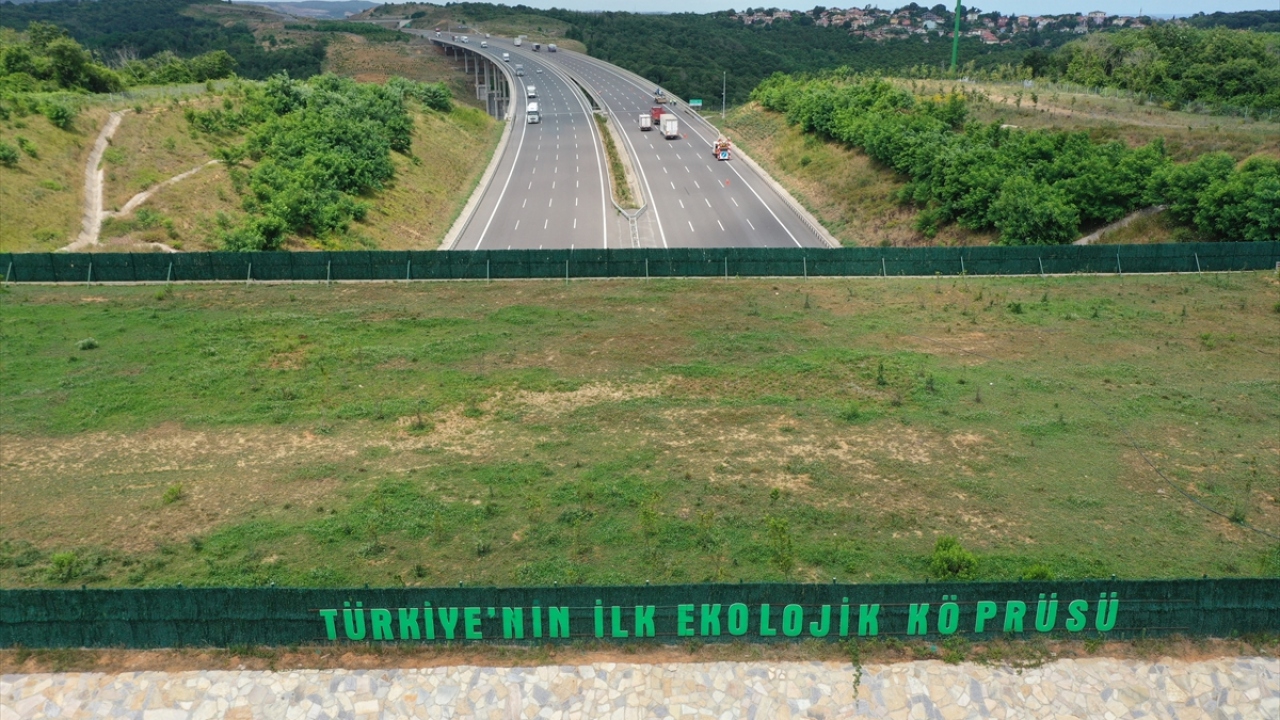 Kuzey Marmara Otoyolu`nda "Uskumruköy Köprüsü"