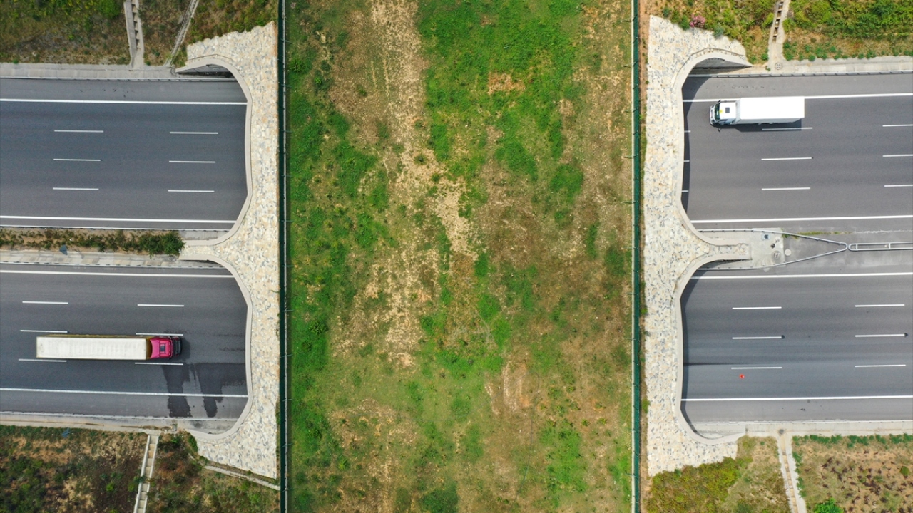 Kuzey Marmara Otoyolu`nda "Uskumruköy Köprüsü"