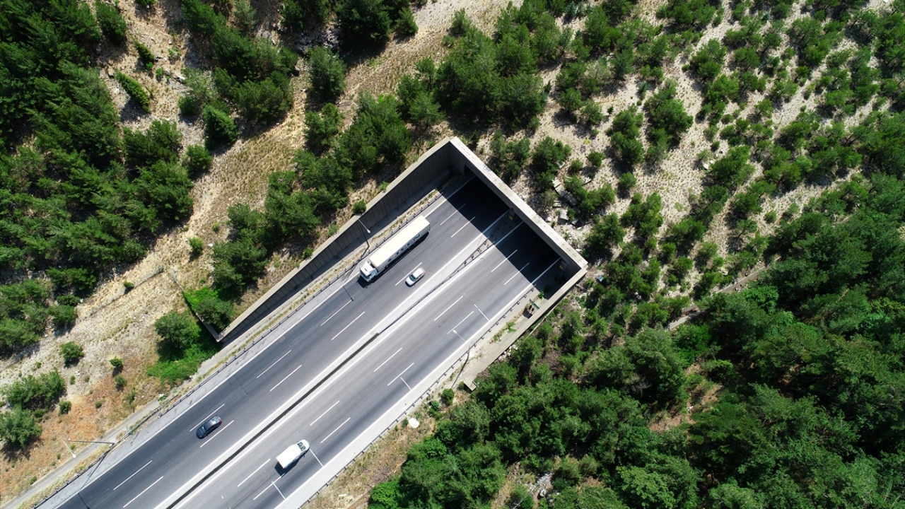Tarsus-Pozantı Otoyolu`nda "Orman Ekosistem Köprüsü"
