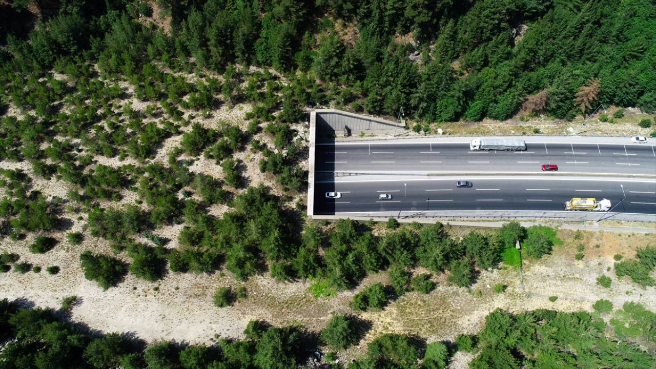 Tarsus-Pozantı Otoyolu`nda "Orman Ekosistem Köprüsü"