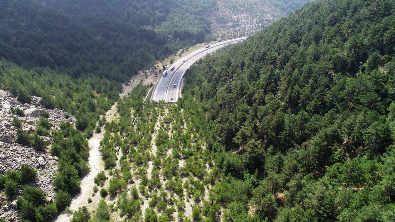 Tarsus-Pozantı Otoyolu`nda "Orman Ekosistem Köprüsü"