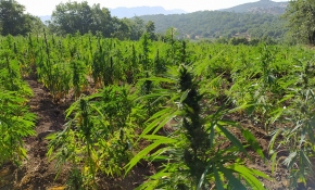 Diyarbakır'da terörün finans kaynağına büyük darbe