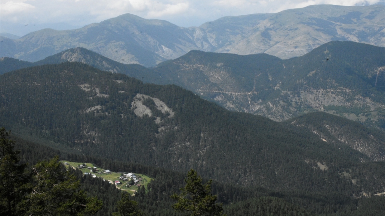 Covid-19 sürecinde farklı tatil seçeneklerine yönelen doğaseverlere karavan, çadır ve günübirlik gezinti gibi tatil seçenekleri sunan yaylalarda izole bir yaşam sürdürülebiliyor.