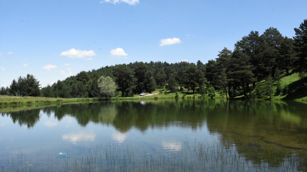 Doğanın dinginliği ile ziyaretçilerine huzur vadeden yaylalarda, birçok noktada karavan ve kamp turizmi yapılabilecek alanlar göze çarpıyor.