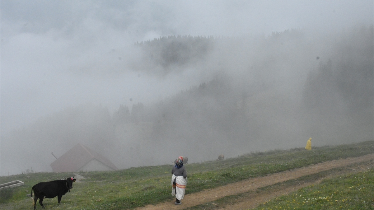 Pandemi sürecinde uygulanan sokağa çıkma kısıtlaması nedeniyle uzun süre evde kalan çocuklar, yaylalarda top oynayıp bisiklet sürerek aileleriyle huzurlu vakit geçirmenin keyfini yaşıyor.