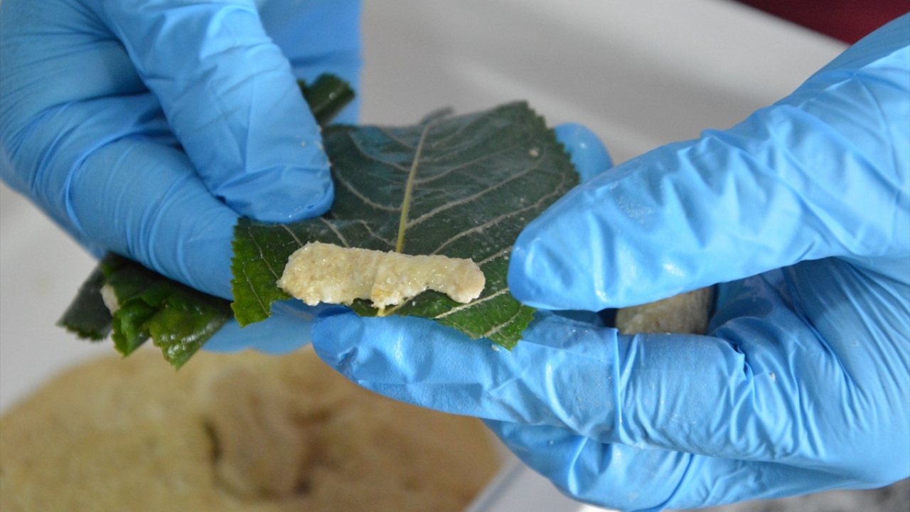 Sarma, yine kentte yetiştirilen buğdaydan elde edilen bulgurun yaprağa sarılmasıyla tencerede pişiriliyor. Ayrı bir tencerede kaynatılan yoğurtla birleştirilen sarma, kısık ateşte pişmesi için bekleniyor.