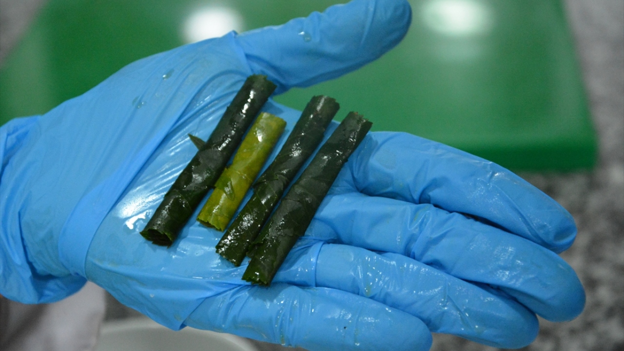 Pişen sarma, kavrulmuş soğan ve salça eklenerek yapılan sosun üzerine konulmasıyla servis ediliyor.