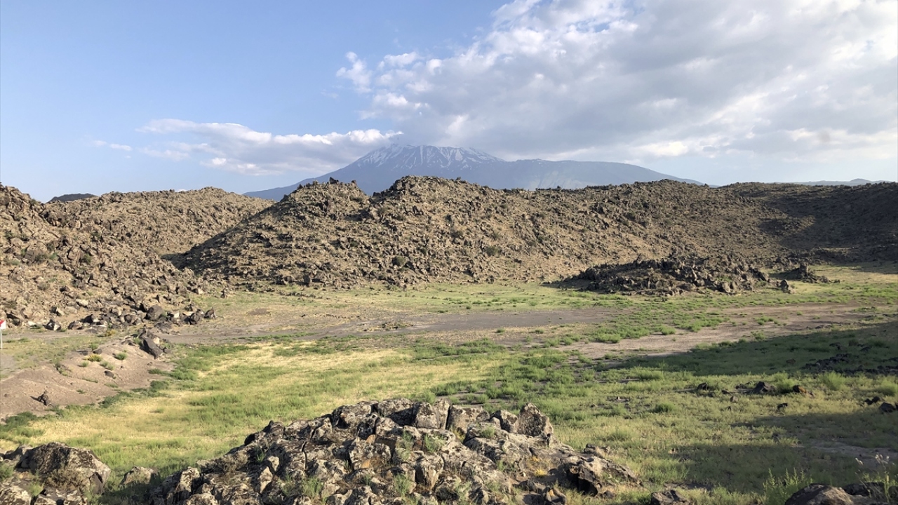 Dağın eteklerindeki kırsal kesimde yaşayan topbaş ve kafkas kelerleri, soğukkanlı davranışları ve ilginç vücut yapılarıyla görülmeye değer görüntüler sunuyor.