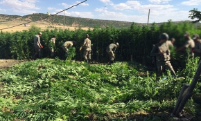Teröristlerin finans kaynağına ağır darbe vuruldu