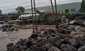Kars'ta sel: Evler zarar gördü, hayvanlar telef oldu