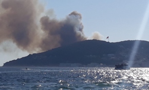 Heybeliada'da orman yangını