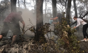 Heybeliada sakinleri yangını söndürmeye yardım etti