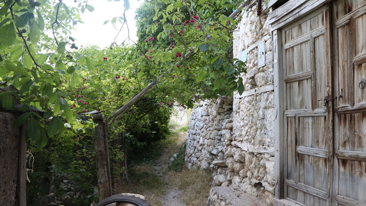 Tarım arazisi çok az olmasına rağmen ilçe sakinleri, buldukları bir avuç yerde bile doğal ürünler yetiştiriyor.