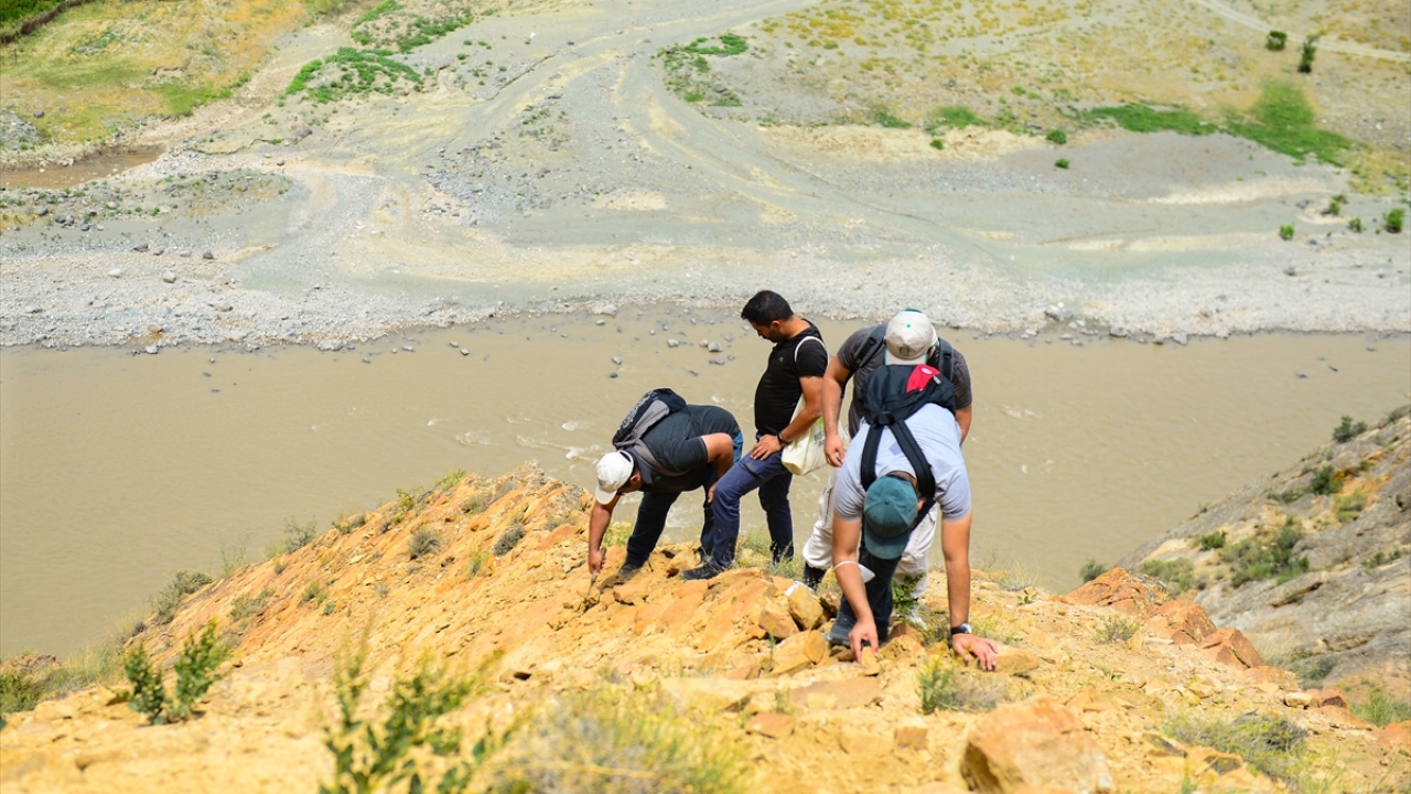 Fosillerin bulunduğu alandaki çalışmalara katılan Iğdır Üniversitesi Rektörü Prof. Dr. Mehmet Hakkı Alma, fosillerin bulunmasıyla üniversite olarak bir ekip oluşturduklarını ve bunların araştırılması yönünde seferber olduklarını söyledi. 