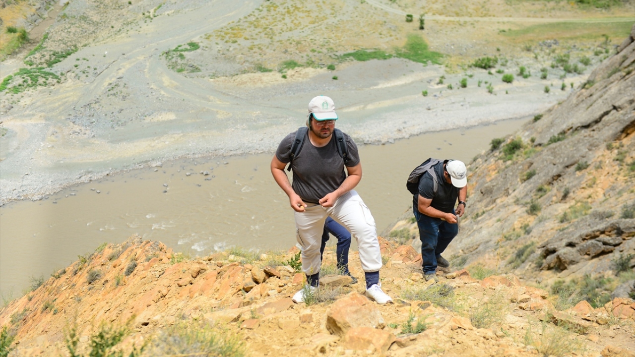 "Bölgede bulunan kalıntılar milyonlarca yıl önce yaşayan canlılara ait"