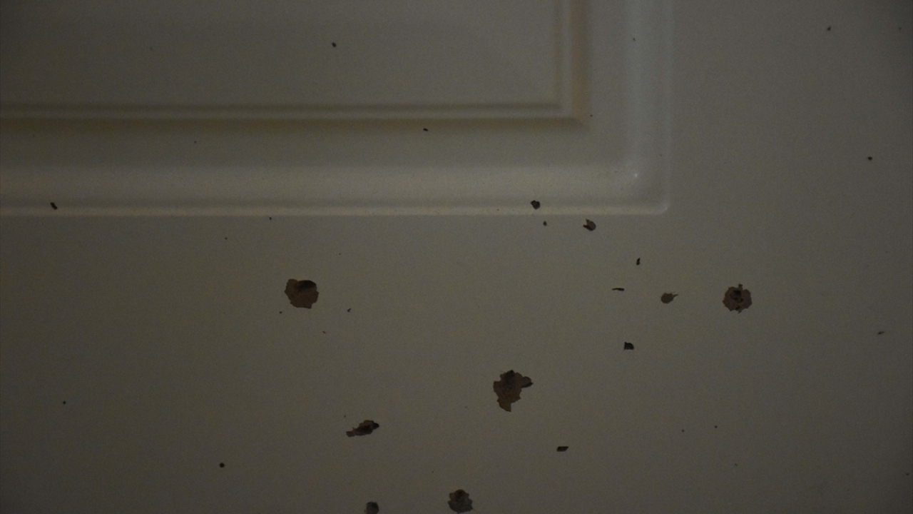  Kırık pencereleri de dış cepheyi kartonpiyerle kaplayarak kapatan otel yönetimi, 15 Temmuz`da hainlere karşı verilen mücadele bilincinin gelecek kuşaklara aktarılmasını hedefliyor.