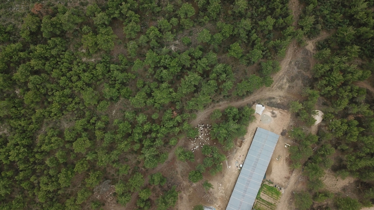 Çocukluğu Nişantaşı`nda geçen, İtalyan Lisesinde okuyan ve gördüğü eğitim sayesinde İtalyanca ve İngilizce bilen 41 yaşındaki girişimci Sarıkaya, Galata semtinde uzun yıllar pastane işletti.