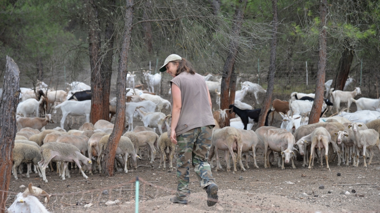 AA ekibini, 2018 yılında yaptıkları haberin ardından yeniden konuk eden Elif Sarıkaya, "İki dil bilen Nişantaşı kızı köyde keçi güdüyor" haberini gören pek çok kişinin kendisini aradığını söyledi.