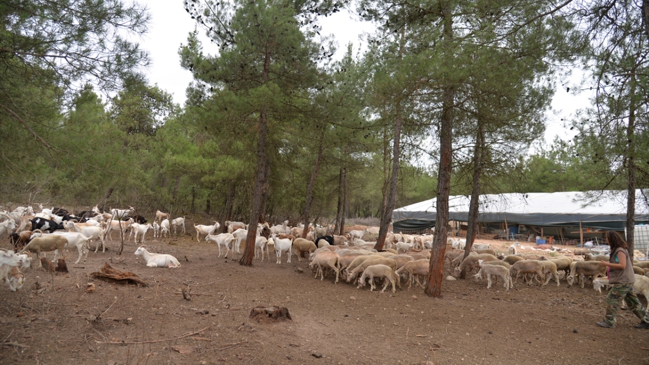 "Günde 16 saat çalışıyorum"