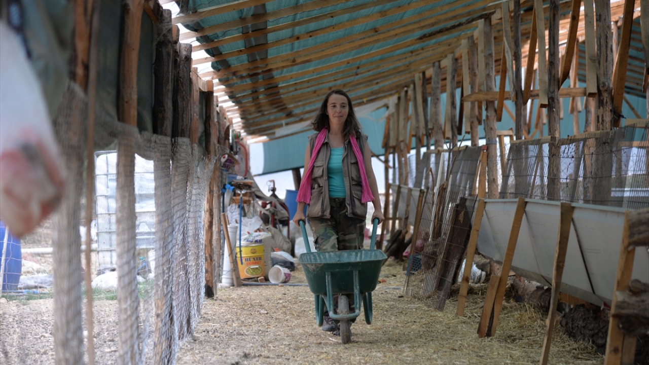Yetiştirdiği hayvanlara yetebilen bir noktaya gelmenin önemine işaret eden Sarıkaya, "Hayvanlarım karın altında yiyecek arasınlar istemiyorum." ifadesini kullandı.