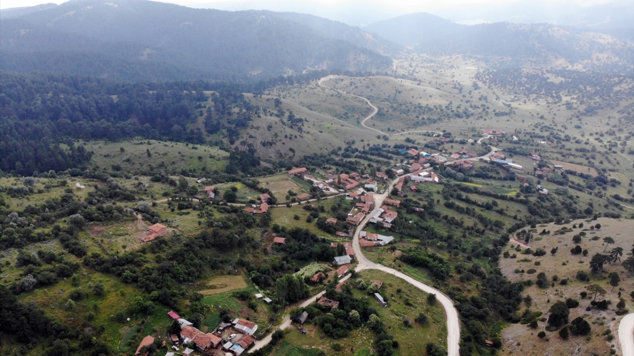 Yaylaların ilgi odağı olduğunu anlatan Kocabıçak, şöyle konuştu: