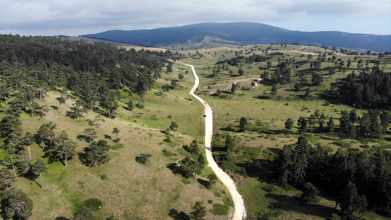 Her gün vatandaşların kendisine gelerek kamp yapılacak alan sorduğunu ifade eden Demir, şöyle konuştu: