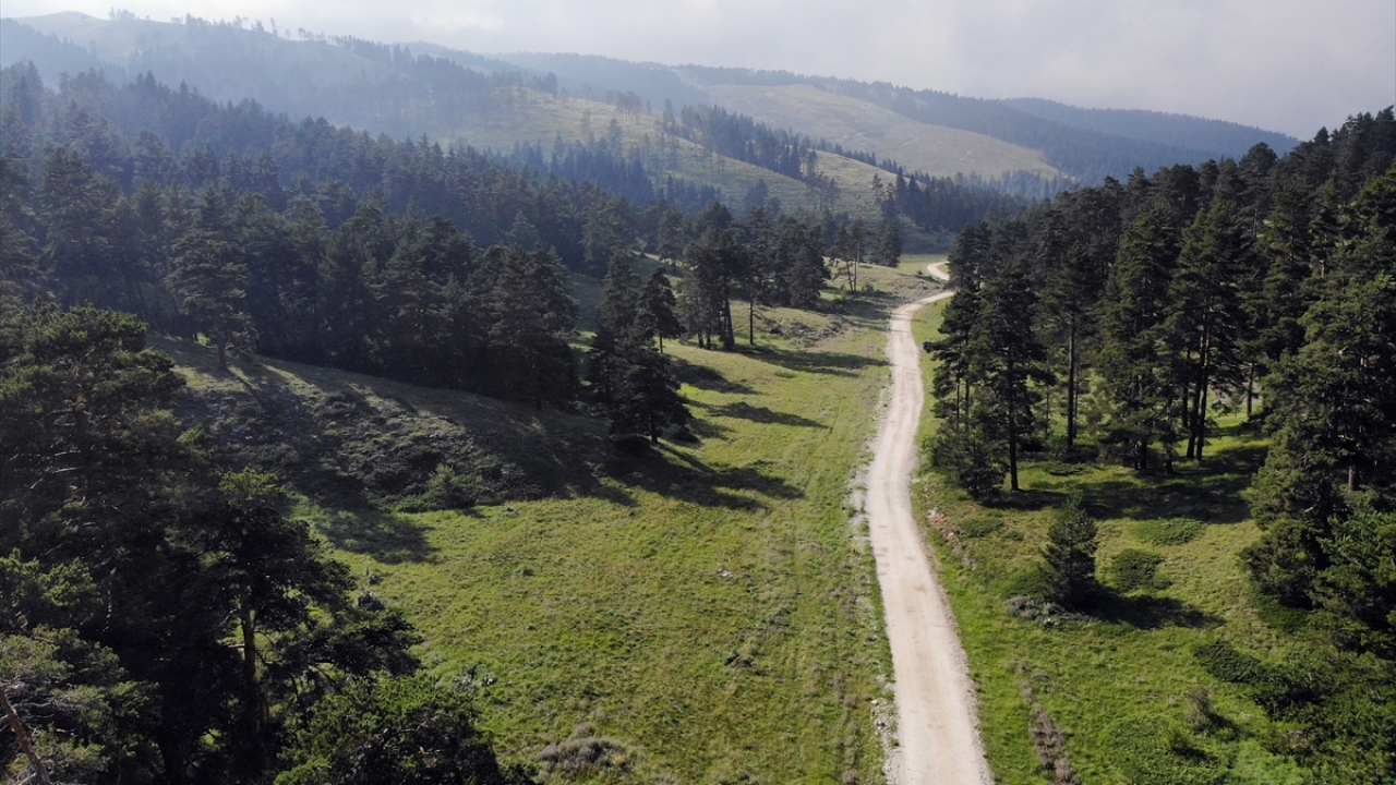 "Virüs korkusu da olmuyor"