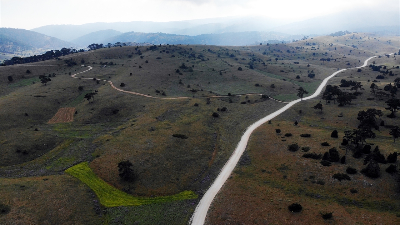 Yaylanın ziyaretçilerinden Cemil Durgut da Erikli köyünden başlayarak sıralı yaylaları gezdiğini belirtti. 