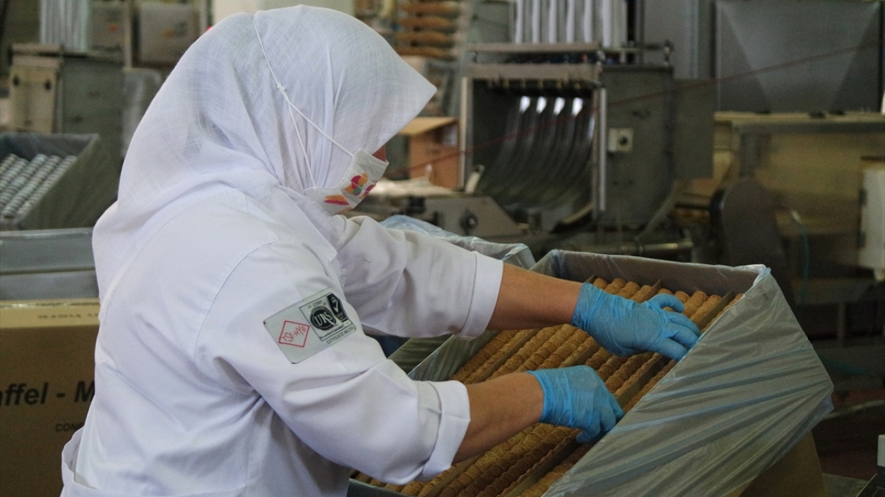 Geçen mayıs ayı sonu itibarıyla üretimlerinin yaklaşık yüzde 70`ini ihraç ettiklerini belirten Oğuz, şöyle devam etti: