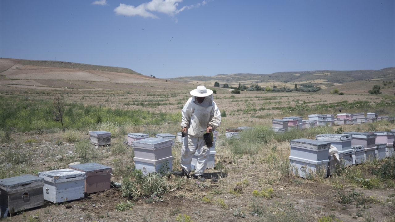 Memleketi Milas`tan 860 kilometre uzaktaki Kayseri`ye mayısta gelen Güldağ, eylüle kadar burada konaklıyor.