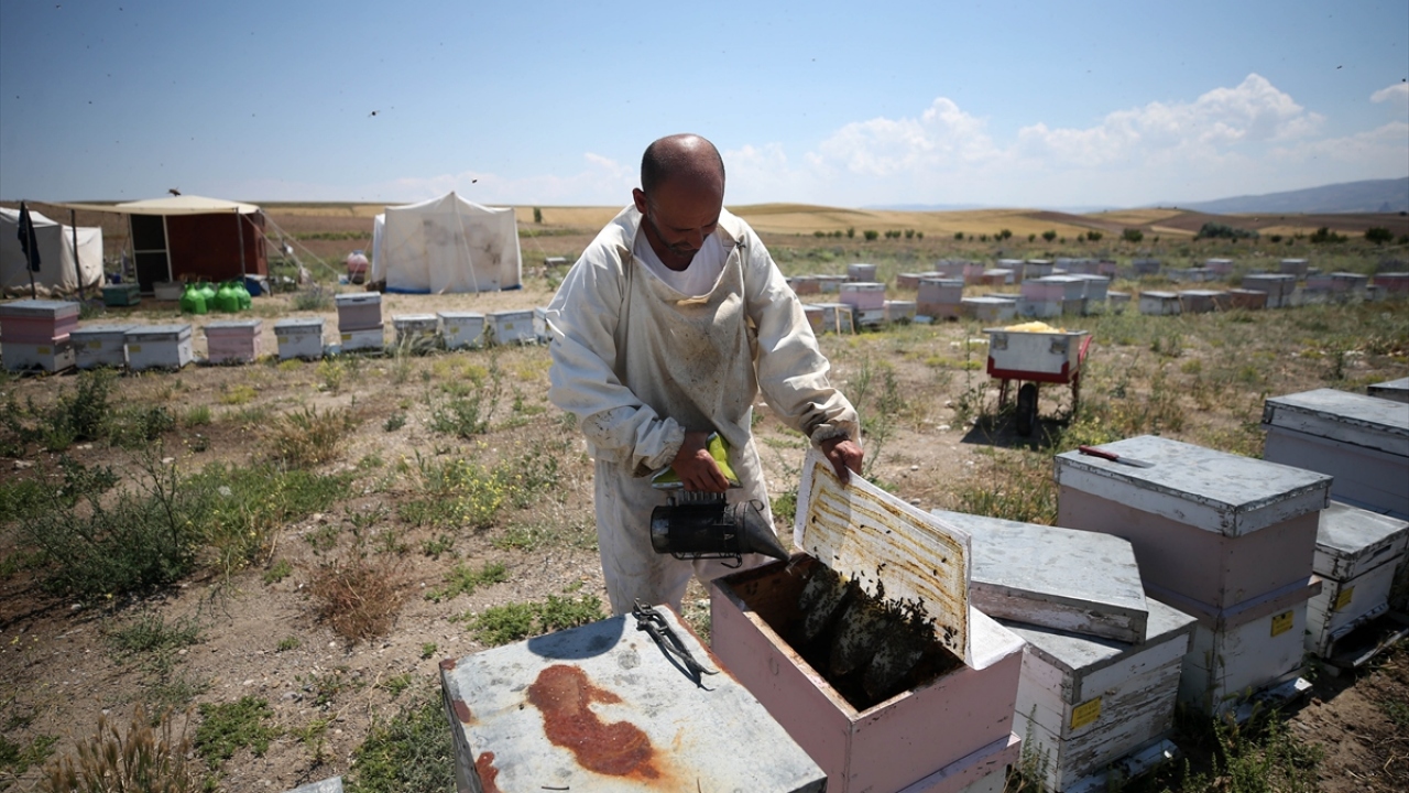 Güldağ, yaklaşık 20 senedir arıcılık yaptığını, yılın 3 ayı da zeytinyağı fabrikasında makine operatörü olarak çalıştığını söyledi.