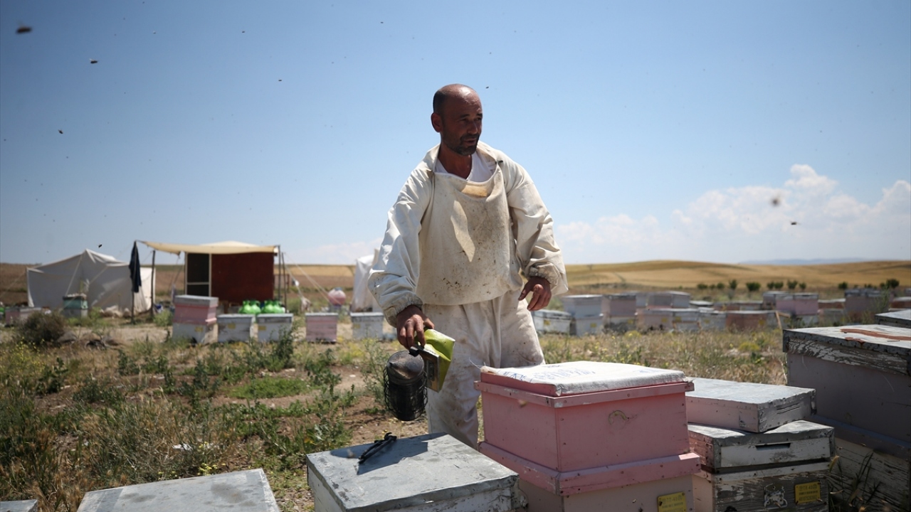 Bu yılın arıcılar için bereketli geçtiğini vurgulayan Güldağ, Türkiye Arı Yetiştiricileri Merkez Birliği Başkanı Ziya Şahin`in girişimleriyle bu sene ballarının değer kazandığını belirtti.
