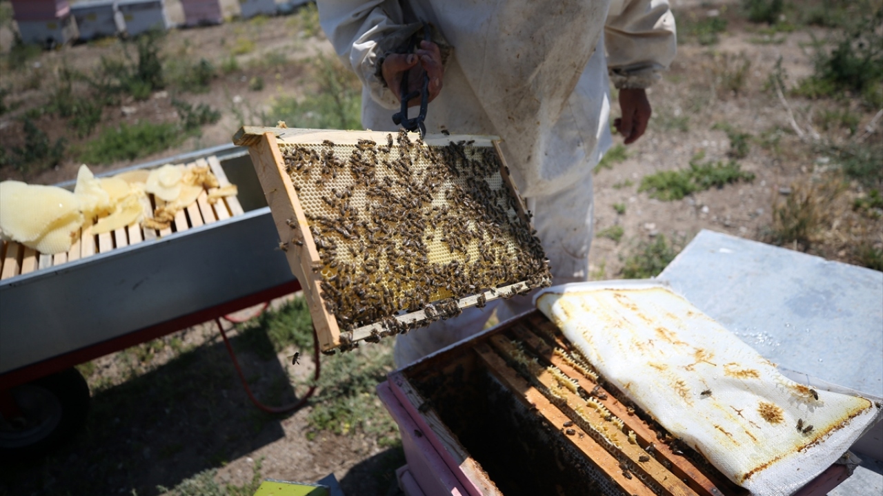 Güldağ, bir kilogram çiçek balını 35 liradan satacaklarını dile getirerek, şöyle devam etti: