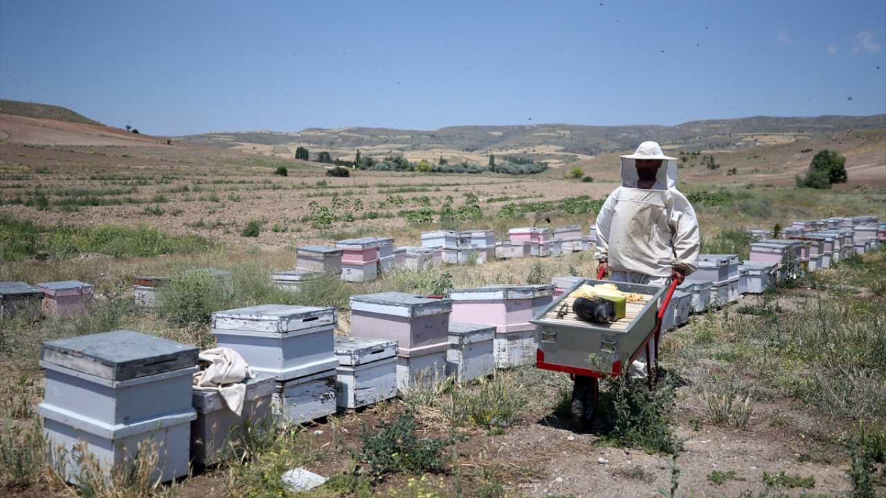 "İç Anadolu Bölgesi`nin çiçeği güzel bal verir." diyen Güldağ, şunları kaydetti: