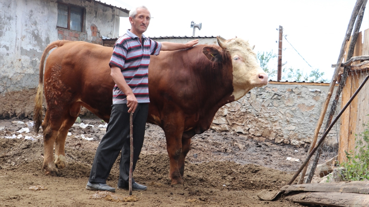 Salih Bakırcı`nın oğlu İhsan Bakırcı, evde annesi, babası, eşi ve 3 çocuğuyla yaşadığını söyledi.