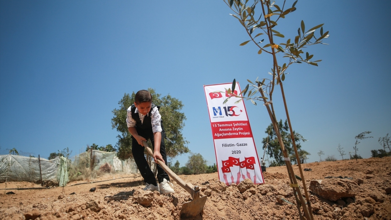 Ekilen fidanlara, 4 yıl önce 15 Temmuz 2016`da Fetullahçı Terör Örgütü (FETÖ) tarafından gerçekleştirilen hain darbe girişimi sırasında şehit olanların isimleri verildi. 
