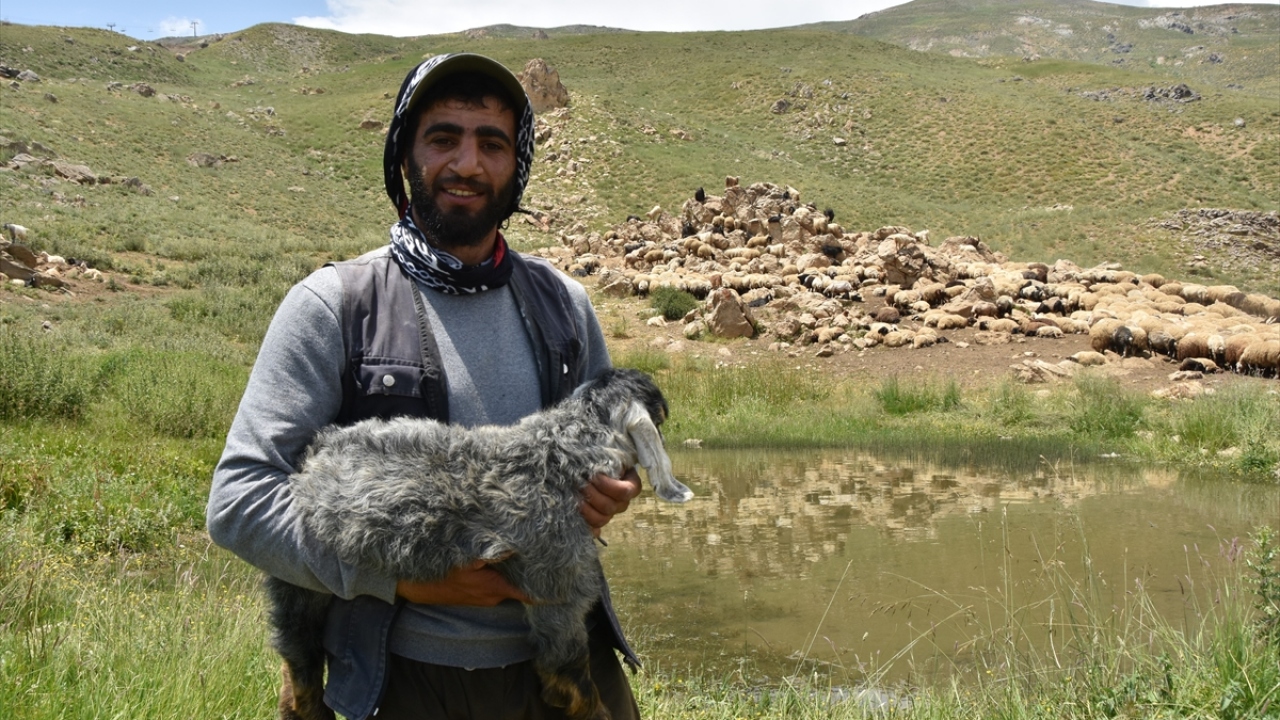 Besici Numan Armut, geçim kaynaklarının hayvancılık olduğunu ve bu işi yazın yaylalarda yaptıklarını söyledi. 