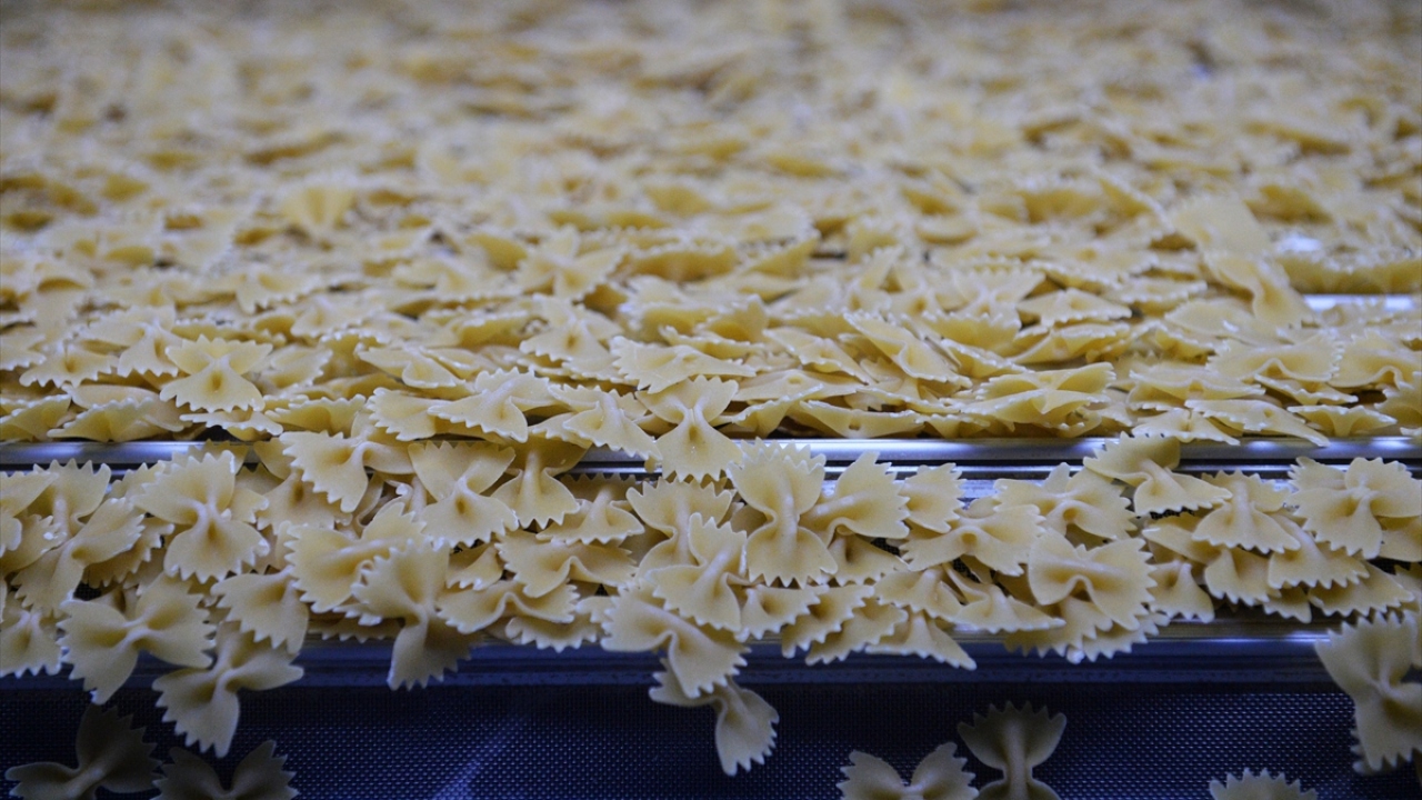 "Makarnaya ulaşımda sıkıntı yaşanmaz"