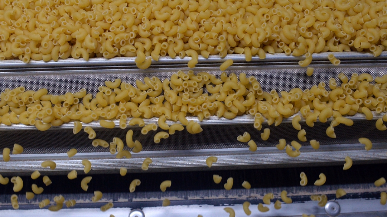 "İhracatı karşılamak için daha fazla buğdaya ihtiyacımız var"