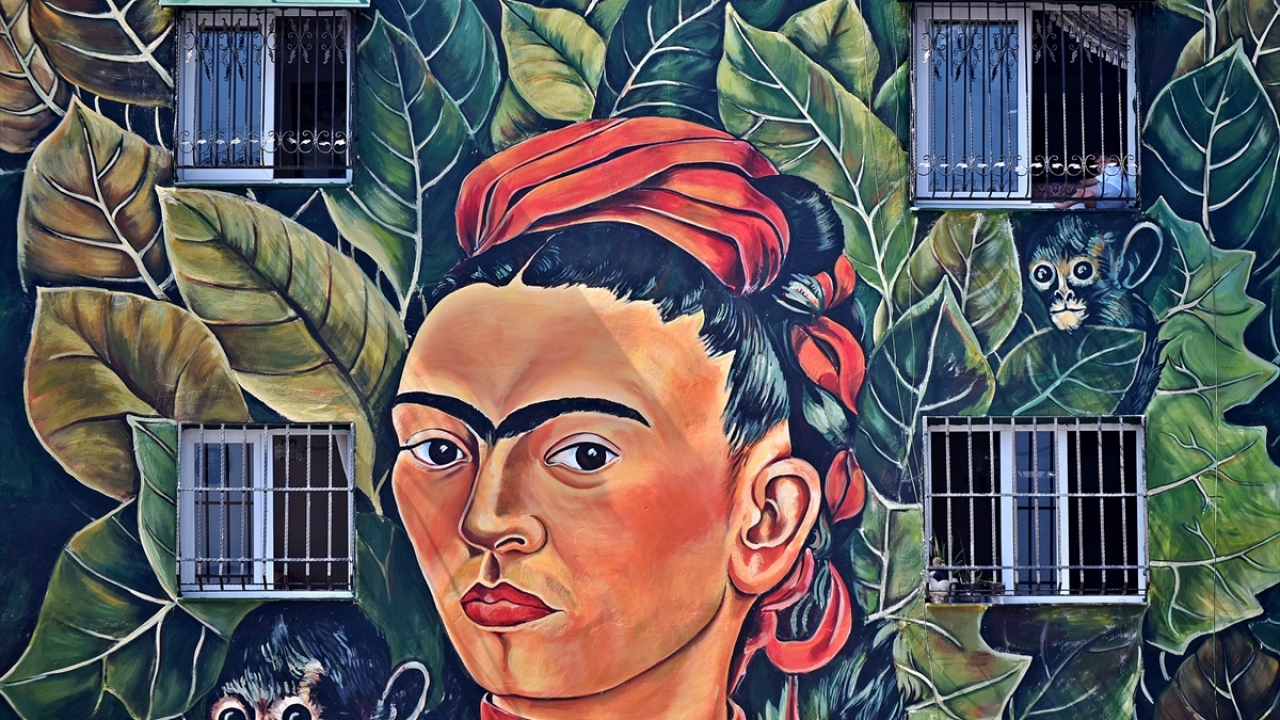 Ev sahiplerinin adreslerini "resimli bina" olarak tarif etmeye başladığı apartmanın "renkli" duvarı, bölgede yaşayan vatandaşların beğenisini topluyor.