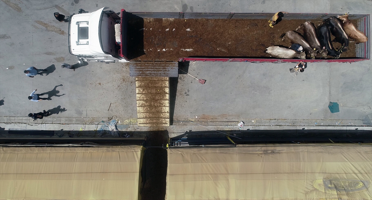 Eyüpsultan ilçesindeki Alibeyköy kurban satış ve kesim merkezi de vatandaşlara hizmet vermeye başladı. 