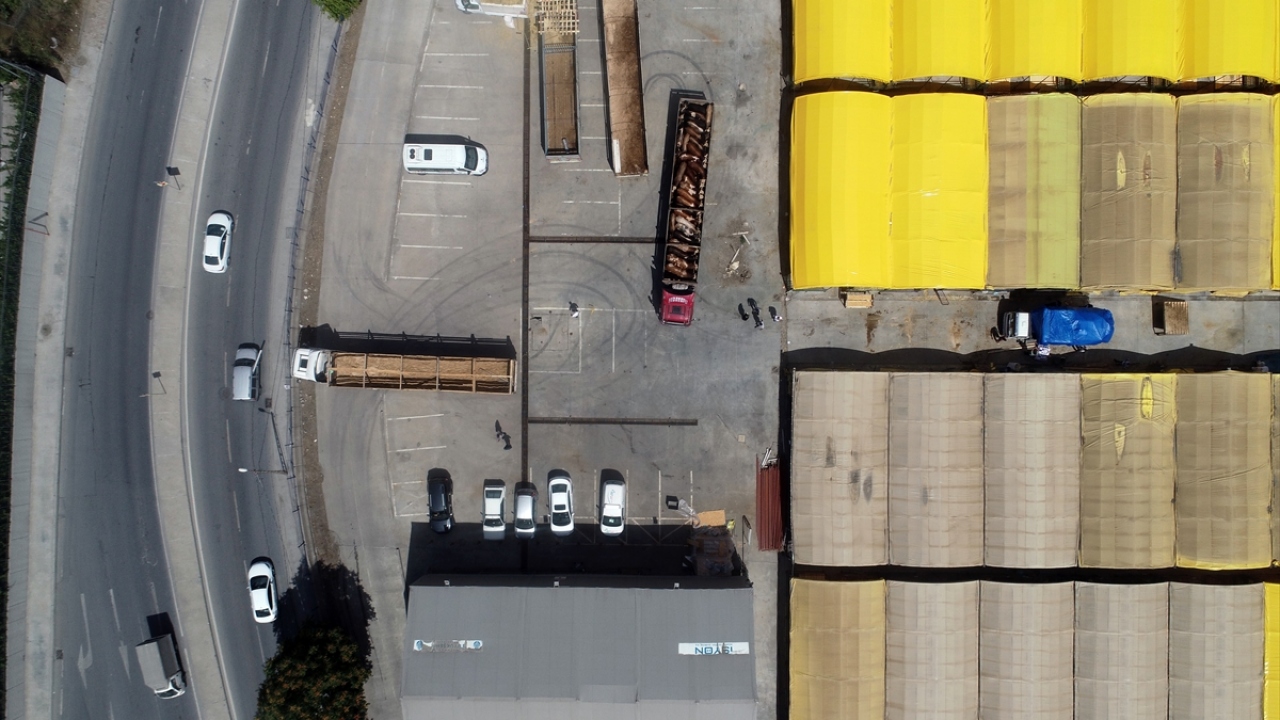 11 dönüm alan üzerinde açılan pazar, 1500 büyükbaş hayvan kapasitesiyle Kurban Bayramı`na kadar hizmet verecek.