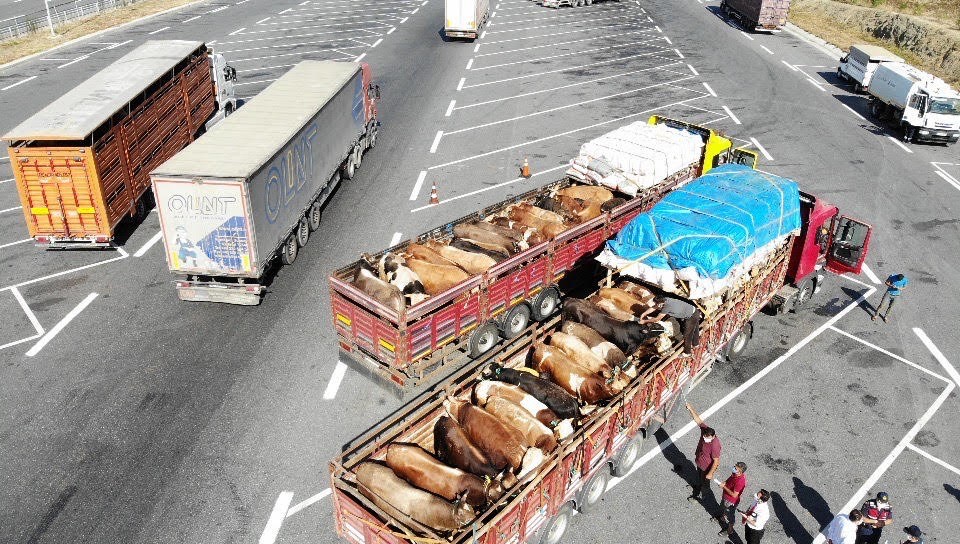 İl Tarım ve Orman Müdürlüğü ekiplerince gerçekleştirilen denetimler, İstanbul genelinde kurulan hayvan pazarlarında da bayramın son gününe kadar devam edecek, öte yandan kurban denetimleri havadan görüntülendi. 