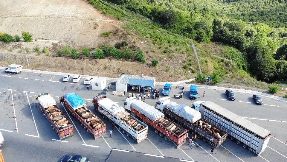 İl Jandarma Komutanlığı Jandarma Asayiş ve Jandarma Trafik Timleri ile İl Tarım ve Orman Müdürlüğü ekipleri, kurbanlık hayvanların İstanbul`a girişleri sırasında denetim yaptı. 