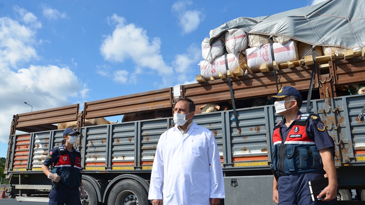 Denetimlere, İstanbul İl Tarım ve Orman Müdürü Ahmet Yavuz Karaca da katılıyor.