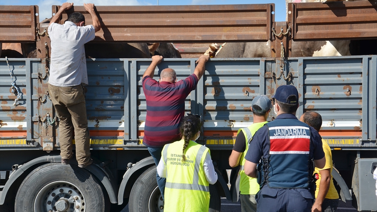 Ekipler, araçlarda bulunan hayvan sahipleri ve araç sürücülerine, kurban pazarlarında uymaları gereken kuralları da hatırlatıyor. 