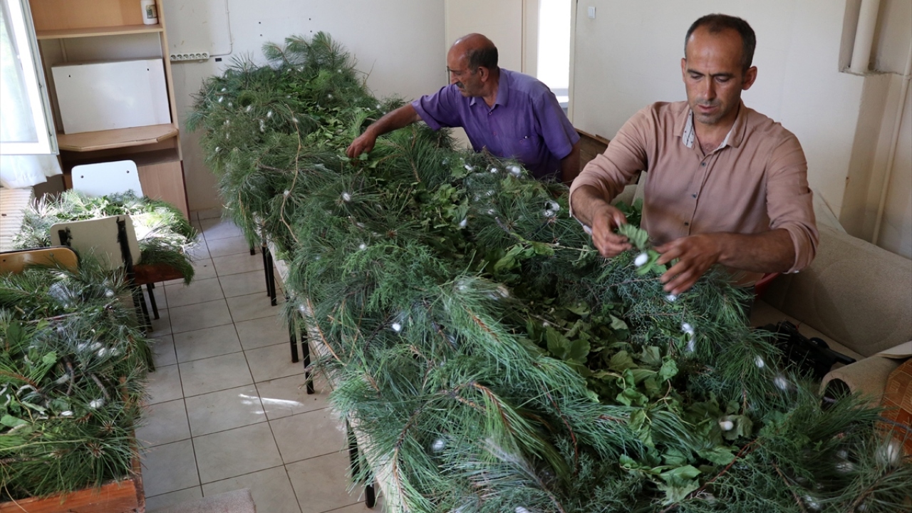Kentte üretilen ipeğin kalitesi sayesinde 1946 yılında Fransa`da düzenlenen ipekli dokuma sergisinde altın madalyaya layık görülen ipekli dokumalar, son 40 yılda unutulmaya yüz tuttu. 