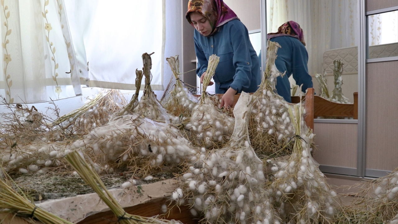 Üreticilerin son derece başarılı bir sezon geçirdiklerini belirten Yüce, şöyle konuştu: