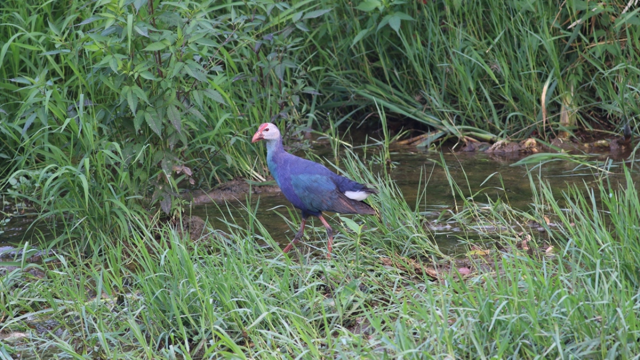 DKMP Giresun Şube Müdürlüğünün sosyal medya hesabından yapılan paylaşımda şu ifadelere yer verildi: