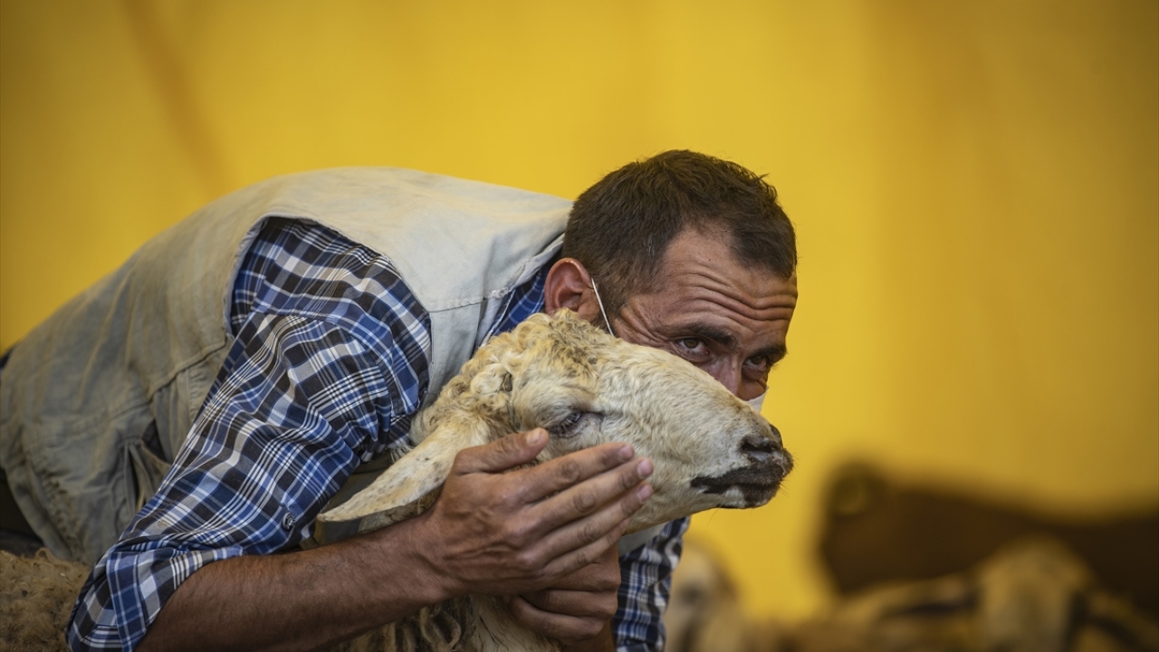 Kurbanlıklarını satmak için pazara getiren besicilerin, yeni tip koronavirüs (Covid-19) önlemleri kapsamında maske taktığı görüldü.